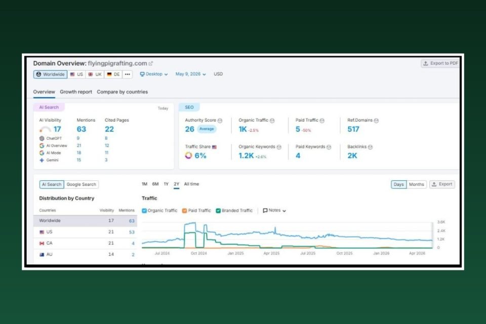 SEO analytics for Flying Pig Adventures