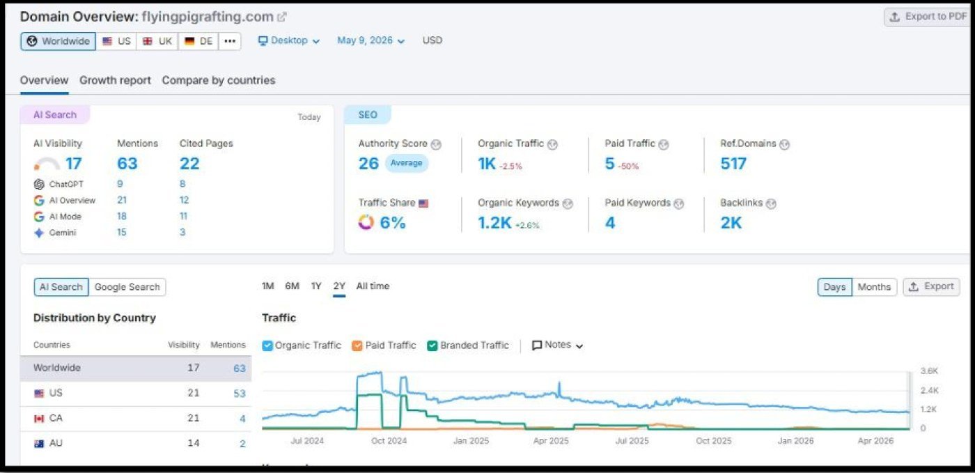 Analytics screenshot showing the SEO results for Flying Pig Adventures